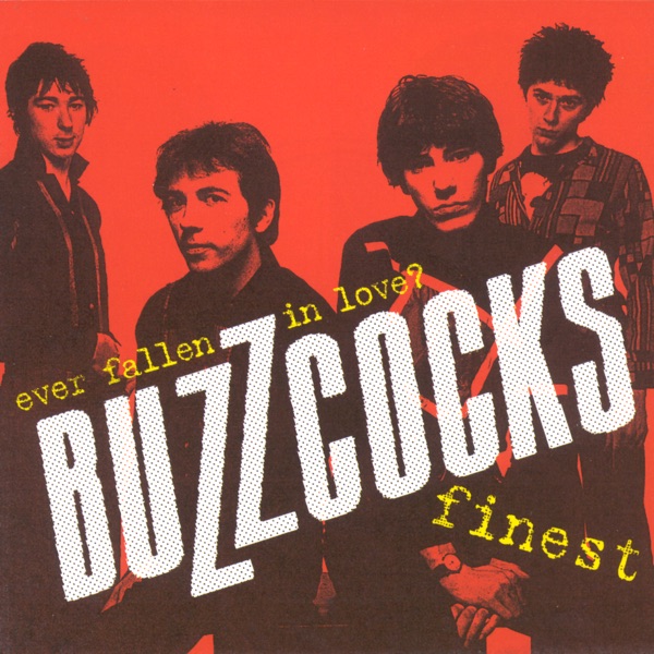 Ever Fallen In Love by The Buzzcocks on Coast Gold