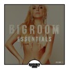Bigroom Essentials, Vol. 2