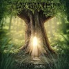 Enchanted - Single