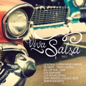 Viva Salsa, Vol. 1 artwork