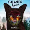 Hunter (Remixes) - EP album lyrics, reviews, download