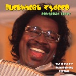 Buckwheat Zydeco - What You Gonna Do? (Live Version)