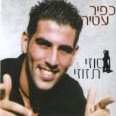 סוזי תזוזי artwork