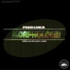 Morphologie - Single