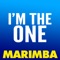 I'm the One (Marimba Remix) - The Marimba Squad lyrics