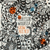 Professor Wouassa - Bande de Kokos