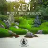 Zen Meditation Experience: 30 Oriental Tracks for Mindfulness Training, Yoga Classes, Rest & Relax, Breathing Techniques, Contemplation Time album lyrics, reviews, download