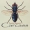 Carcass - Lester Square lyrics