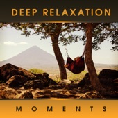 Deep Relaxation Moments: Serenity Instrumental Music for Calm Down, Total Relax Body & Mind, Yoga Meditation, Finding Inner Harmony, Stress Free artwork