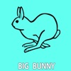 Bunny House - Flying People