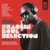 The Rza Presents Shaolin Soul Selection Volume 1 artwork