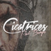 Cicatrices artwork