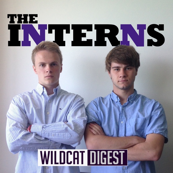 The Interns cover