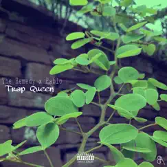 Trap Queen (feat. Pablo) - Single by The Remedy album reviews, ratings, credits
