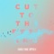 Cut to the Feeling - Carly Rae Jepsen lyrics