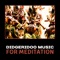 Didgeridoo Trance - Native Meditation Zone lyrics