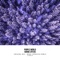 Purple World (Mihai Popoviciu Remix) - Ronnie Spiteri lyrics