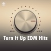 Turn It Up EDM Hits