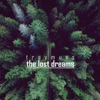 The Lost Dreams - Single