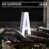 GW Harrison - When House Takes a Journey