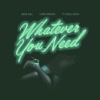 Whatever You Need (feat. Chris Brown & Ty Dolla $ign) - Single, 2017