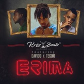 Erima (feat. Davido & Tekno) artwork