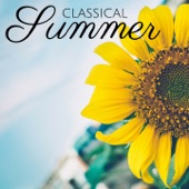The Four Seasons, Violin Concerto No. 2 in G Minor, RV 315 "Summer": II. Adagio artwork