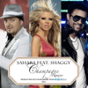 Champagne (feat. Shaggy) [Extended Mix] - Sahara
