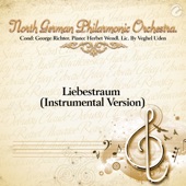 Liebestraum (Instrumental Version) artwork