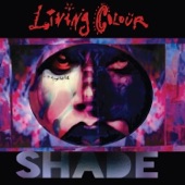 Shade cover