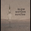 Slow Motion Suicide, 2017