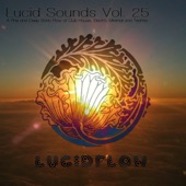 Last Lullaby (Nadja Lind Club Remix) artwork