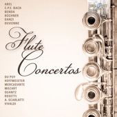 Flute Concerto in D Minor, QV5:81: II. Arioso artwork