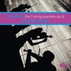 Quatuor Hermès - String Quartet in F Major, Op. 41, No. 2: III. Scherzo. Presto