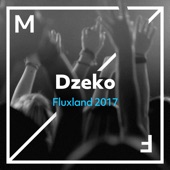 Fluxland 2017 artwork