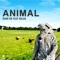 Animal (Radio Edit) - Rune RK lyrics