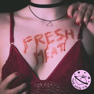 descargar álbum The Van T's - Fresh Meat