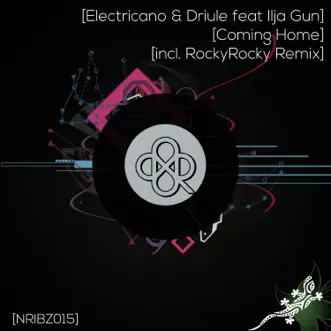 Coming Home (feat. Ilja Gun) by Electricano & Driule XL song reviws