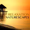 Relaxation Naturescapes - Rainforest Music Lullabies for Sweet Sleep & Deep Rest album lyrics, reviews, download
