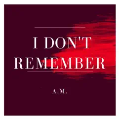 I Don't Remember - Single by AM album reviews, ratings, credits