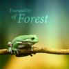 Tranquility of Forest: 30 Sounds of Nature Collection, Singing Birds, Crickets, Frogs, Wind & River for Meditation Relaxation, Free Your Mind, Natural Sleep Aid - Zen Soothing Sounds of Nature