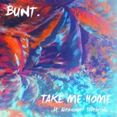 Take Me Home (feat. Alexander Tidebrink) artwork