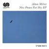New Peace for Sky album lyrics, reviews, download
