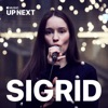 Sigrid - Don't Kill My Vibe
