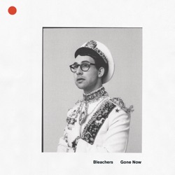 Bleachers - I Miss Those Days