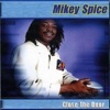 Mikey Spice - Loving You