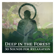 Deep in the Forest - Calm Singing Birds Zone