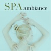 Spa Ambiance - Musique zen asiatique pour pensée positive et soulagement du stress