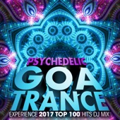 Psychedelic Goa Trance Experience 2017 Top 100 Hits DJ Mix artwork