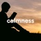 Calm in Your Soul - Second Touch lyrics